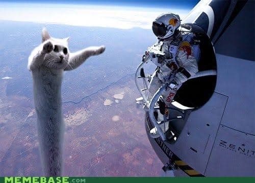 Longcat in space